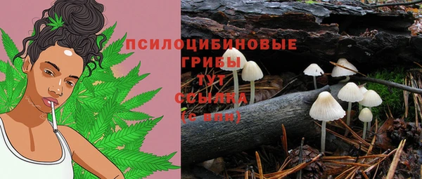 сатива Вязьма