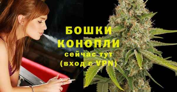 сатива Вязьма