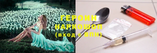 сатива Вязьма